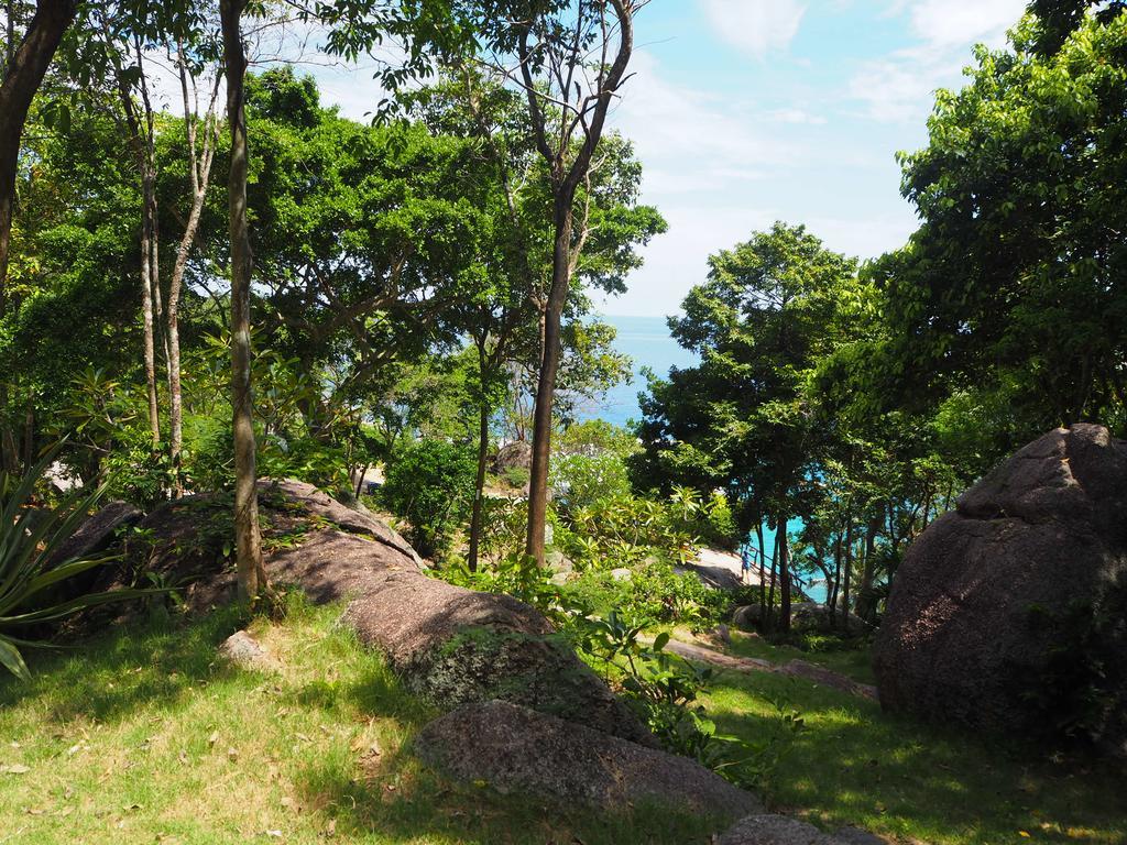 Ao Muong Beach Resort Тау Экстерьер фото